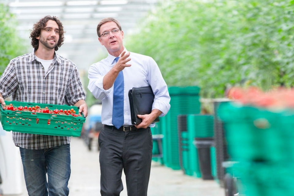 Business banker with bearded customer in plant nursery