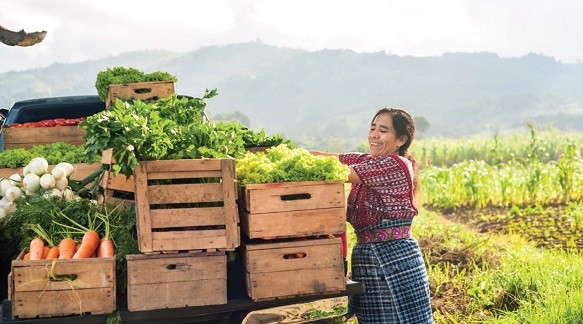 Indian woman loads produce onto truck