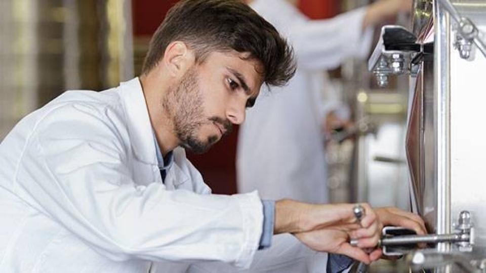 male scientist observing experiment