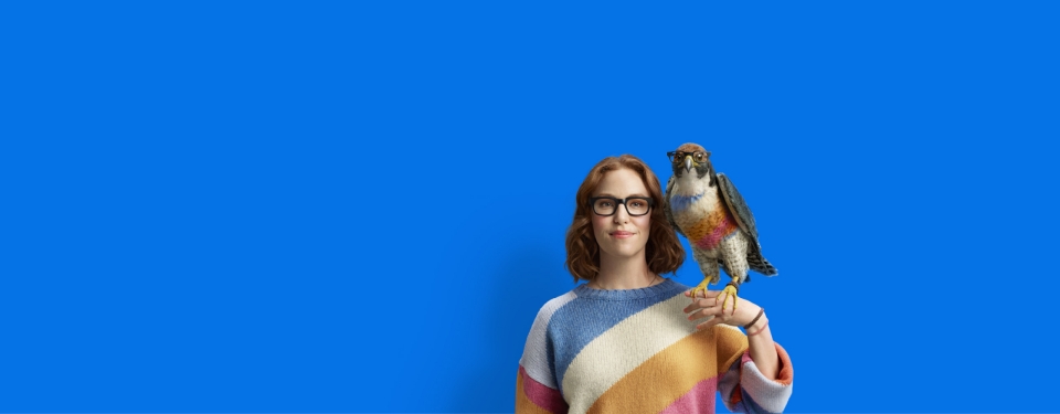 Security Falcon
